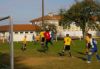 IMGP0018_rec.jpg