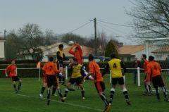 IMGP1178.jpg