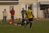 peno__9_.jpg