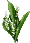 muguet.gif